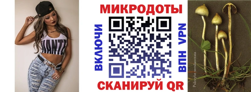 Купить закладки  Туймазы  Псилоцибиновые грибы GOLDEN TEACHER 